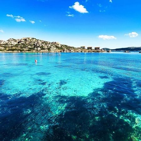 Appartamento Luminosissimo Con Posto Auto. La Maddalena  Eksteriør bilde